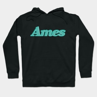 Ames Department Store Hoodie